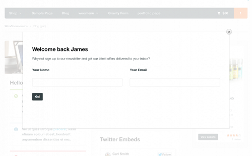 WooCommerce Splash Popup WooCommerce Splash Popup