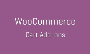 tp-66-woocommerce-cart-add-ons