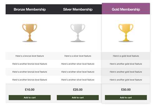 WooCommerce Storefront Pricing Tables WooCommerce Storefront Pricing Tables