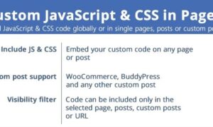 custom-javascript-css-in-pages