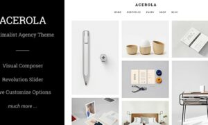 acerola-ultra-minimalist-agency-theme