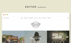 editor-a-wordpress-theme-for-bloggers
