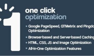 one-click-wordpress-speed-performance-optimization