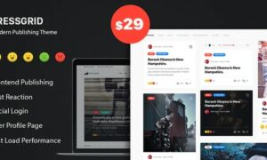 pressgrid-frontend-publish-reaction-multimedia-theme