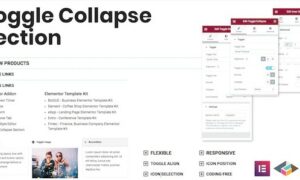 toggle-collapse-section-elementor-addon