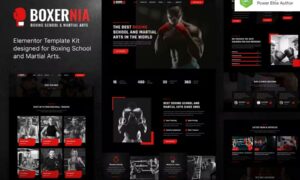boxernia-boxing-school-martial-arts-elementor-temp-K789YHT
