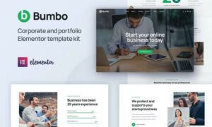 bumbo-business-startup-portfolio-elementor-templat-W3J6BPG