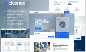 cleanox-laundry-service-elementor-template-kit-23MQWEG