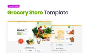 disho-grocery-store-elementor-template-kit-JMNKQ87