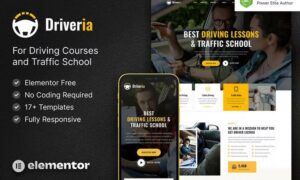 driveria-driving-course-traffic-school-elementor-t-L54CEC4