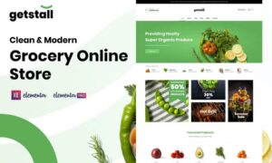 getstall-grocery-store-elementor-template-kit-V3ET6W9