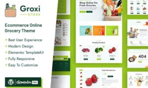 groxi-grocery-store-elementor-template-kit-5VKCE9V