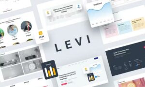 levi-digital-marketing-elementor-template-kit-66R4AFP