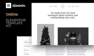 ogena-minimal-elementor-template-kit-CA6SNA3 ogena-minimal-elementor-template-kit-CA6SNA3