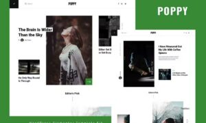 poppy-blog-magazine-elementor-template-kit-JXBFYB9