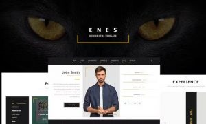 Enes – Resume vCard HTML Template