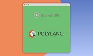 SearchWP Polylang Integration