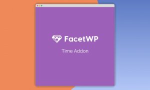FacetWP Time Since Add-On