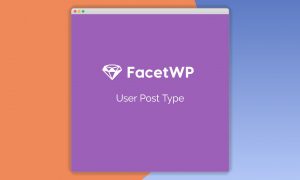 FacetWP User Post Type Add-on
