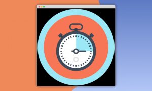 Paid Memberships Pro – Subscription Delays Add On