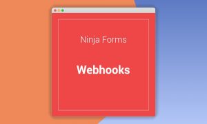 Ninja Forms Webhooks