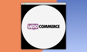 Paid Memberships Pro – WooCommerce Add On